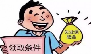 失业补助金与失业保险金的区别（失业补助金与失业保险金的区别是什么）