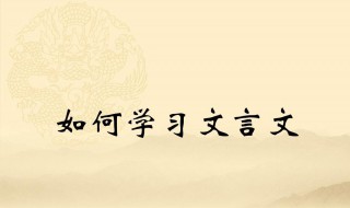 学习为先文言文答案 文言文《为学》阅读