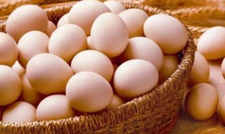 笨鸡蛋和普通鸡蛋营养价值一样吗 鸡蛋和鹅蛋哪个营养价值更高