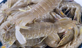 皮皮虾的功效与作用 皮皮虾的功效与作用及营养价值图片