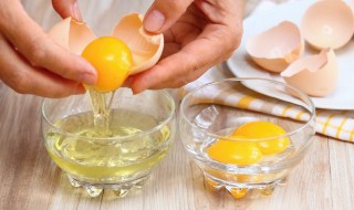 柴鸡蛋营养价值（柴鸡蛋营养价值及功效与作用）