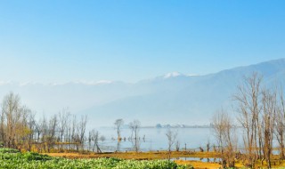 四川国家级湿地保护区有哪些（四川湿地自然保护区）