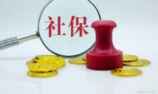 灵活就业人员社保可以一次性缴纳吗（灵活就业社保可以一次性缴清吗）