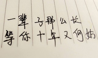 句子很短却字字入心（句子很短却字字入心是什么意思）