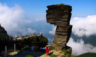 梵净山旅游景点介绍（梵净山旅游景点介绍词）