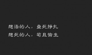 高冷又随性的句子 高冷又随性的句子短句