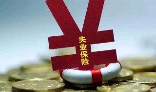 怎样申请领取失业险（怎样申请领取失业保险金）