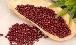 红豆的功效 红豆的功效作用与主治