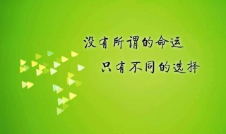 朋友圈发的正能量语录集（朋友圈正能量满满的精辟语录）