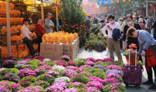 花籽怎么种（花籽怎么种好发芽）