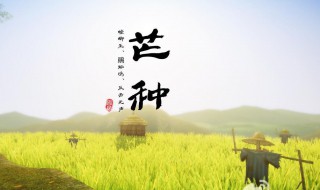 2021芒种节气快乐祝福语（芒种节气寄语）