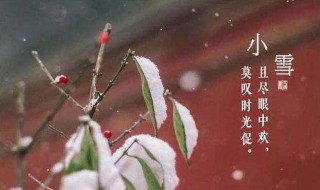 小雪节气吃什么传统食物 小雪节气吃什么食物好