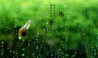 雨水节气吃什么传统食物 雨水节气如何养生吃这些最养生