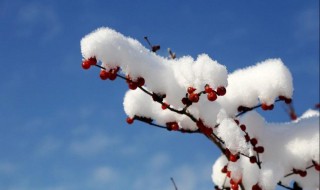 雪的形成（雪的形成过程）