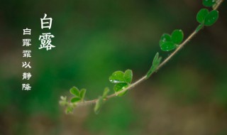 白露节气古诗词（白露气节的古诗）