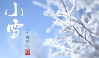 小雪节气养生知识（小雪节气养生知识手抄报）