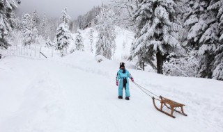 小雪节气文案（小雪节气文案素材）