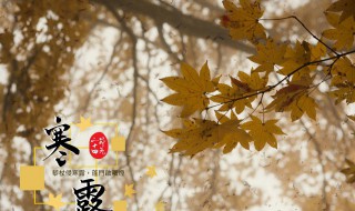 寒露节气的寓意和传统（寒露节气的寓意是什么）