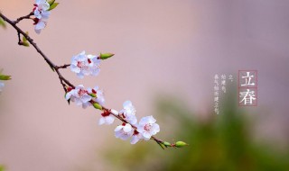 立春节气寓意（立春节气寓意什么）