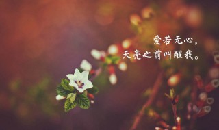 老了感悟人生的句子（老了感悟人生的句子说说）