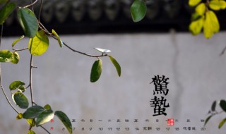 惊蛰节气有什么传统习俗（惊蛰节气的现象是什么）