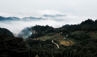 四川雅安旅游景点 四川雅安旅游景点介绍