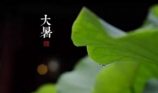 小暑和大暑哪个热（小暑和大暑哪个热一些）