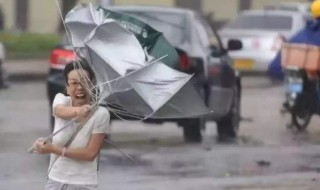 台风来了该怎么防范（台风来袭我们应该如何防御）