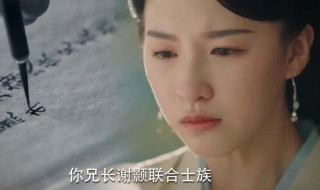 锦绣南歌陆婉儿和陆远介绍 锦绣南歌陆婉儿是谁演的