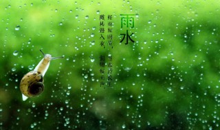 雨水节气推荐语（雨水节气推荐语大全）