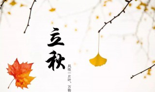 立秋节气文案（立秋节气文案简短）