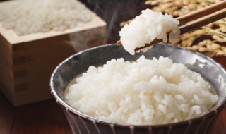 哪里的米更适合做米饭 什么地方的米最好