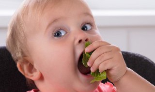宝宝不吃蔬菜怎么办 三岁宝宝不吃蔬菜怎么办