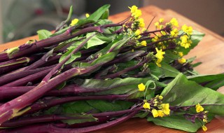 紫菜苔怎么炒好吃 红菜苔怎么做好吃