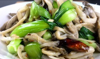 蘑菇青菜怎么炒 蘑菇青菜怎么炒好吃又简单