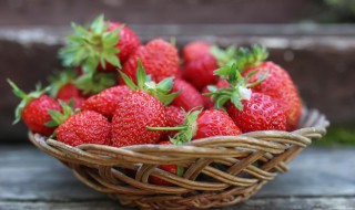 章姬草莓和红颜草莓区别 章姬草莓和红颜草莓哪个更好