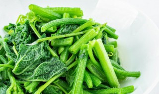 什么是粗纤维的蔬菜和食物 粗纤维最多的食物
