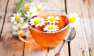 芙蓉花茶适合什么人喝 芙蓉花茶的功效