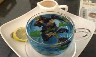 蓝蝴蝶花茶的功效与作用 蓝蝴蝶花茶的功效与作用禁忌