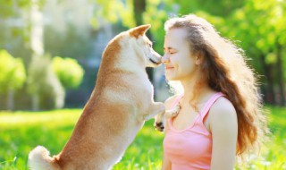 怎么确保爱犬产后健康（狗狗生产后怎么办）