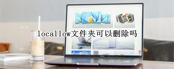 locallow文件夹可以删除吗（local这个文件夹可以删除吗）