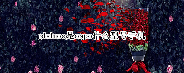 pbdmoo是oppo什么型号手机（oppo pbbtoo是什么型号）