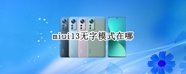 miui13无字模式在哪（MIUI13无字模式在哪里）