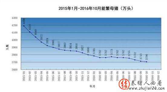 生猪价格连续高位17个月，预期2017年肥猪出栏量严重不足