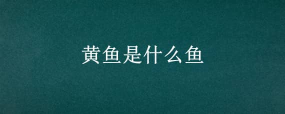 黄鱼是什么鱼（广东人说的黄鱼是什么鱼）