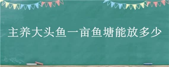 主养大头鱼一亩鱼塘能放多少