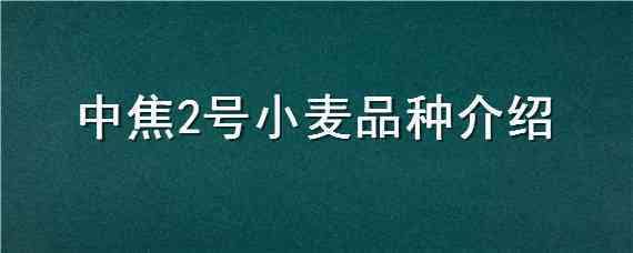 中焦2号小麦品种介绍 中焦二号小麦品种怎么样?