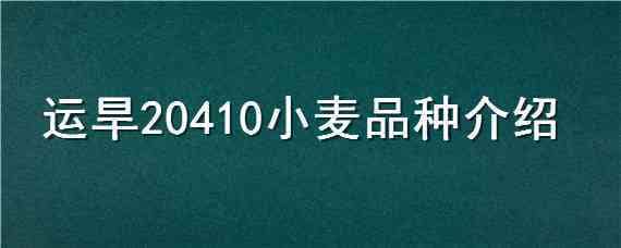 运旱20410小麦品种介绍（运旱115麦种产量表现）