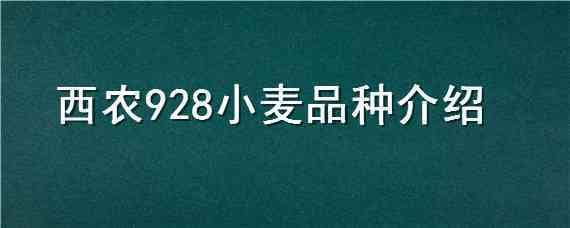 西农928小麦品种介绍（西农836小麦品种特征）