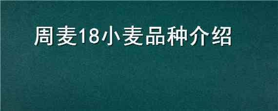 周麦18小麦品种介绍 周麦18品种特征特性